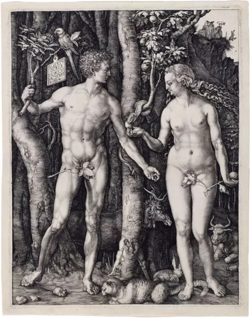 Engraving by Albrecht Dürer