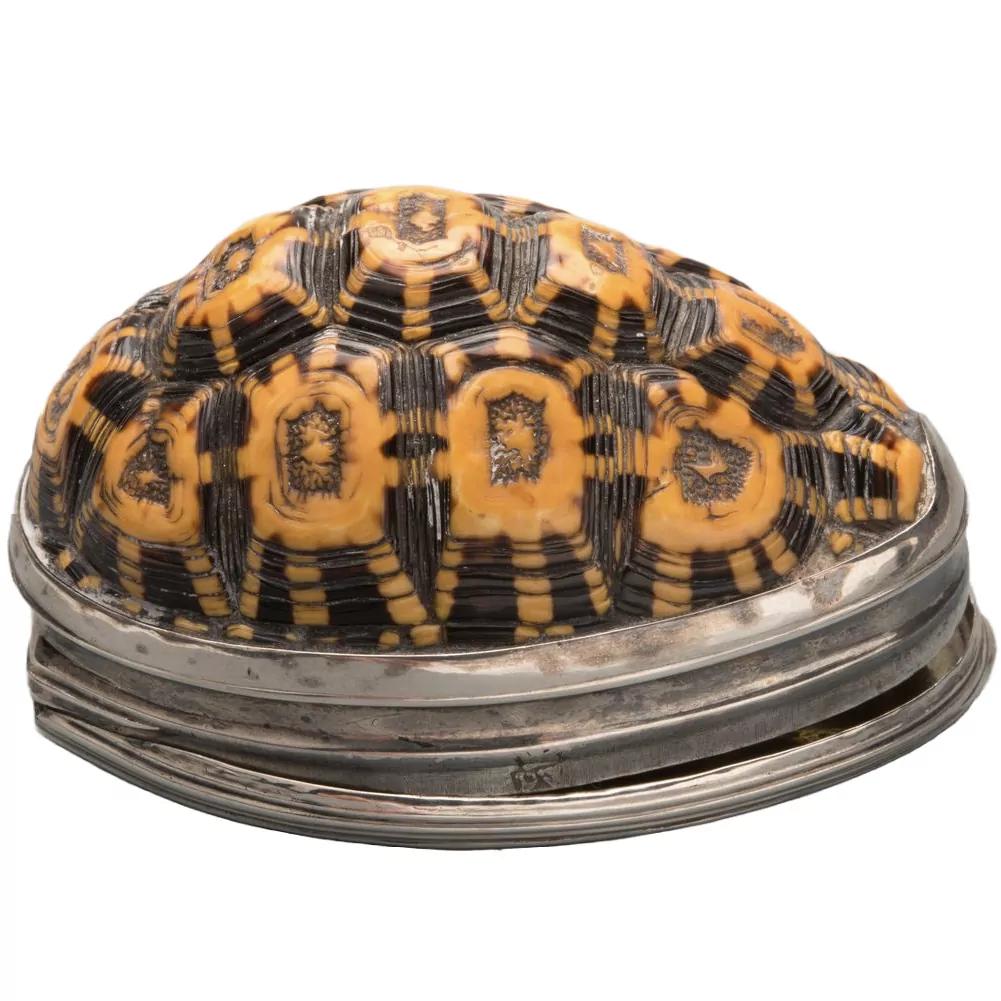 Snuff box in the form of a full shell of a tortoise and silver mounts, circa 1760.