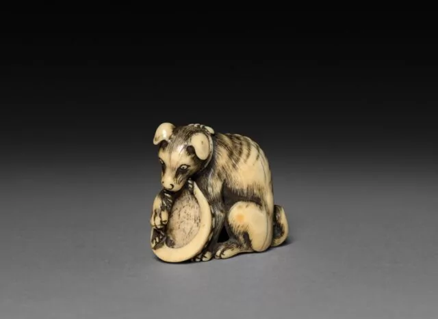 Japanese Ivory Netsuke, Dog with Shell, Edo Period, 1615-1868, 18th century. 